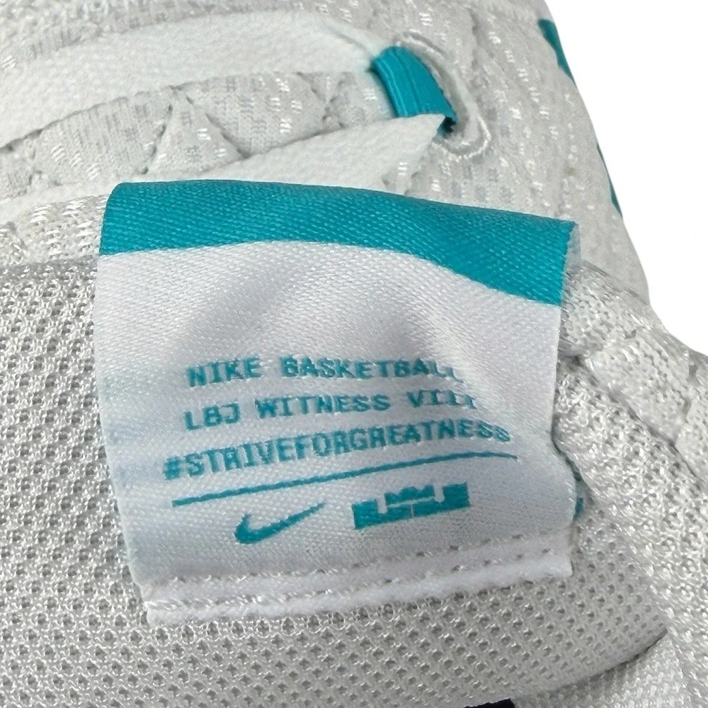 Nike LeBron Witness VIII 8 White Obsidian Dusty Cactus HQ2139-101 Mens 10.5 NIB